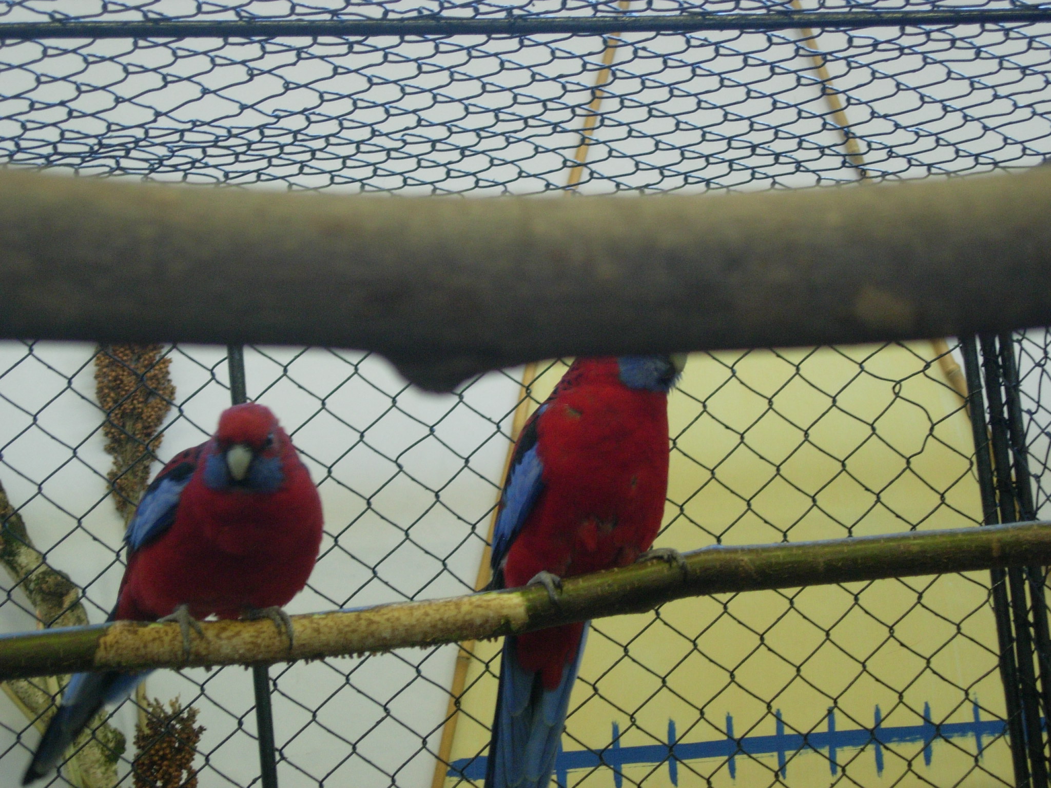 DSCN2594.JPG